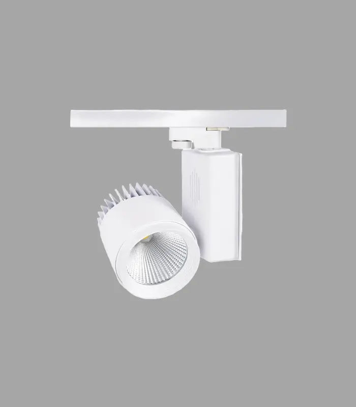 Atanur Izmonia 30W Monofaze Ray Spot COB Led