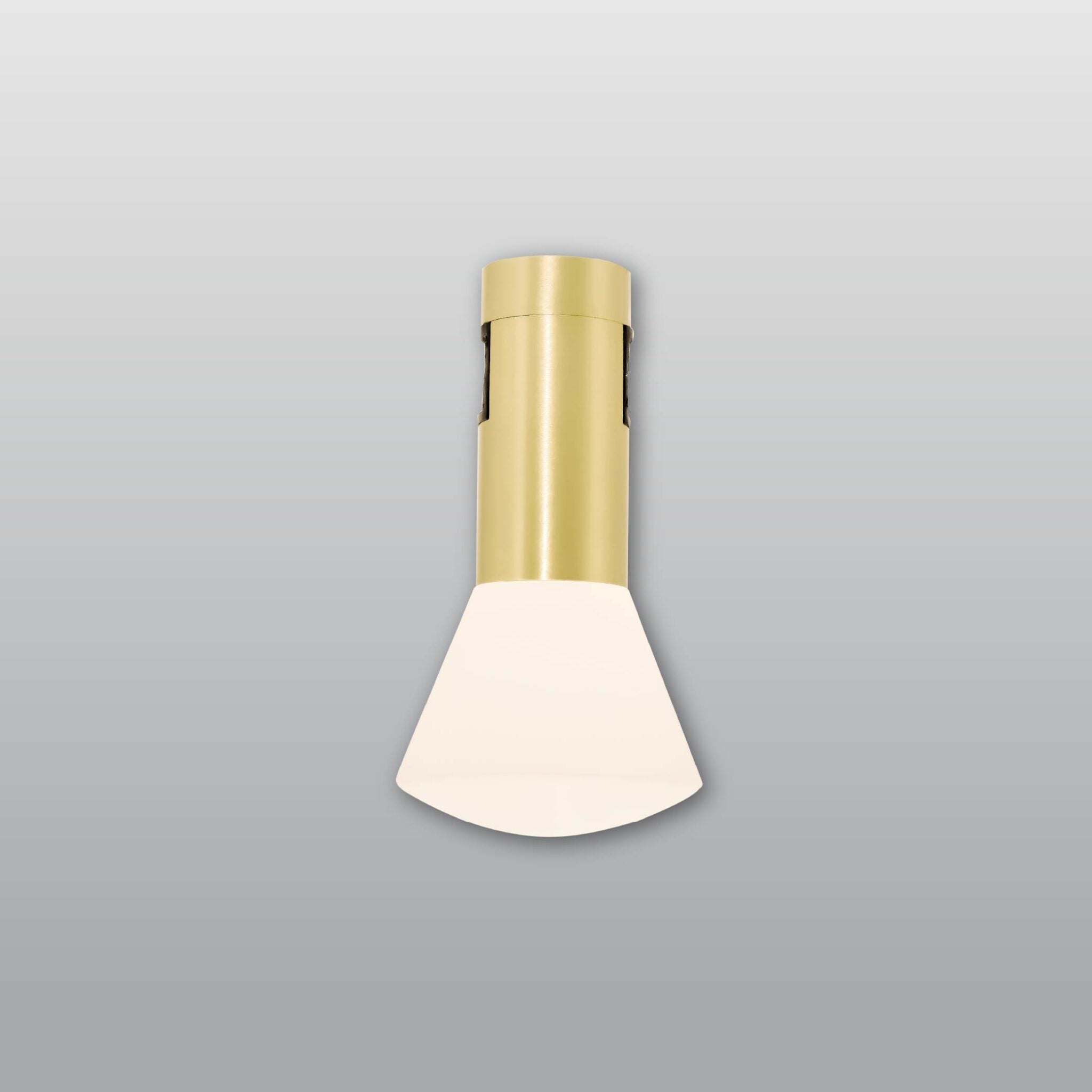 ACK 48V Rétro Spot LED Ray Armatür Ø60 - 5W