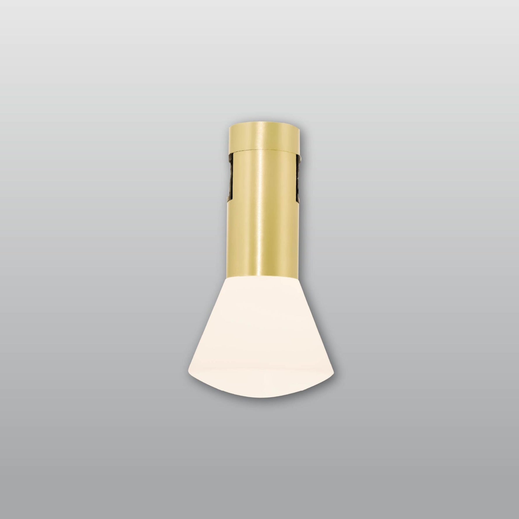 ACK 48V Rétro Spot LED Ray Armatür Ø60 - 5W