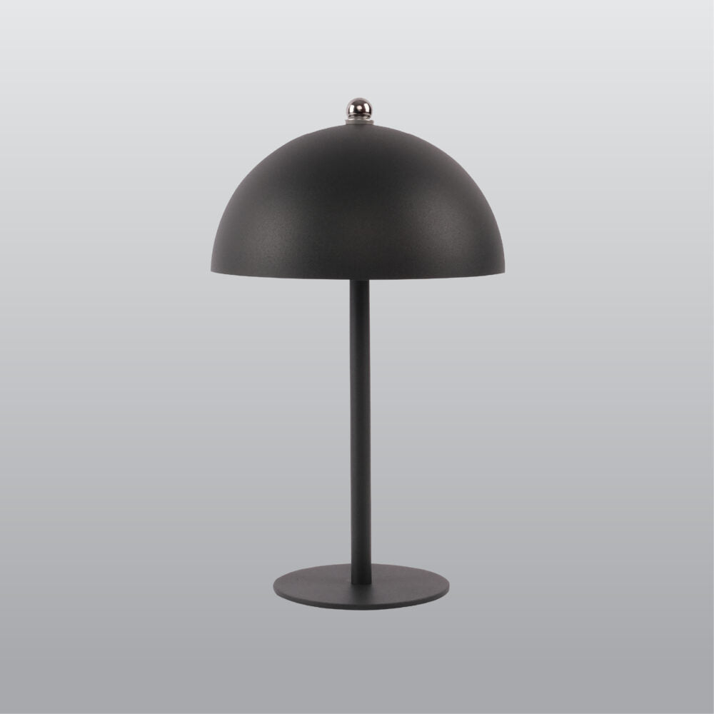 ACK LED Dekoratif Metal Masa Lambası Ø160