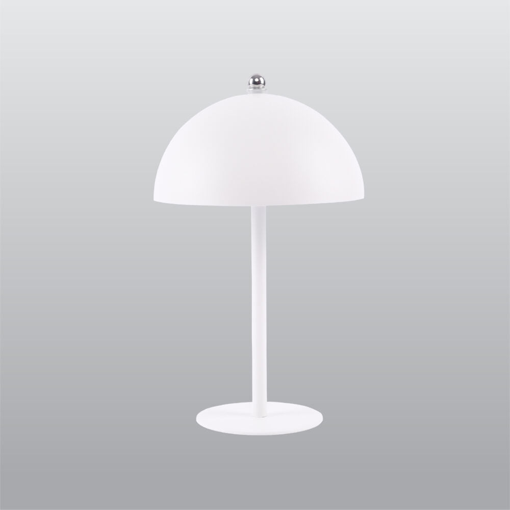 ACK LED Dekoratif Metal Masa Lambası Ø160