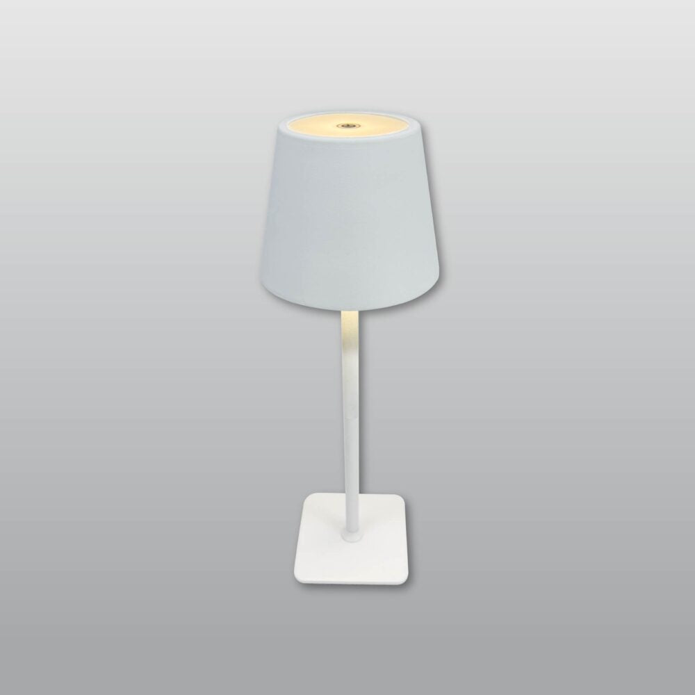 ACK LED Dekoratif Metal Masa Lambası Ø110