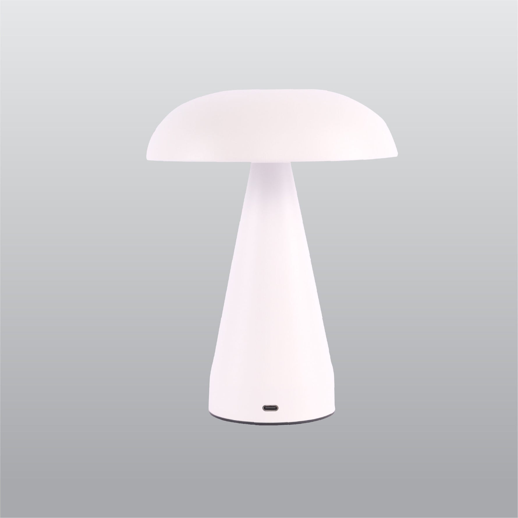 ACK LED Dekoratif Metal Masa Lambası Ø155