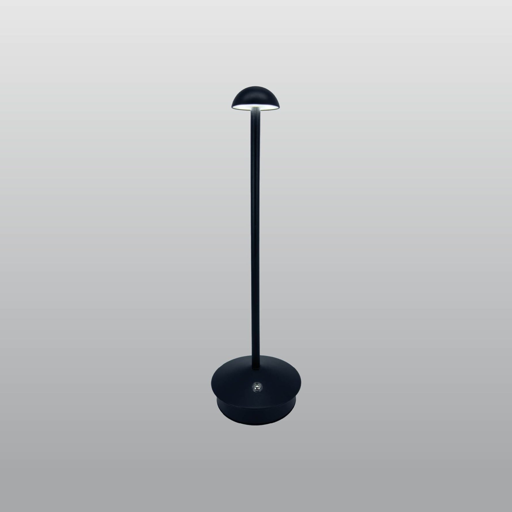 ACK LED Dekoratif Metal Masa Lambası Ø90