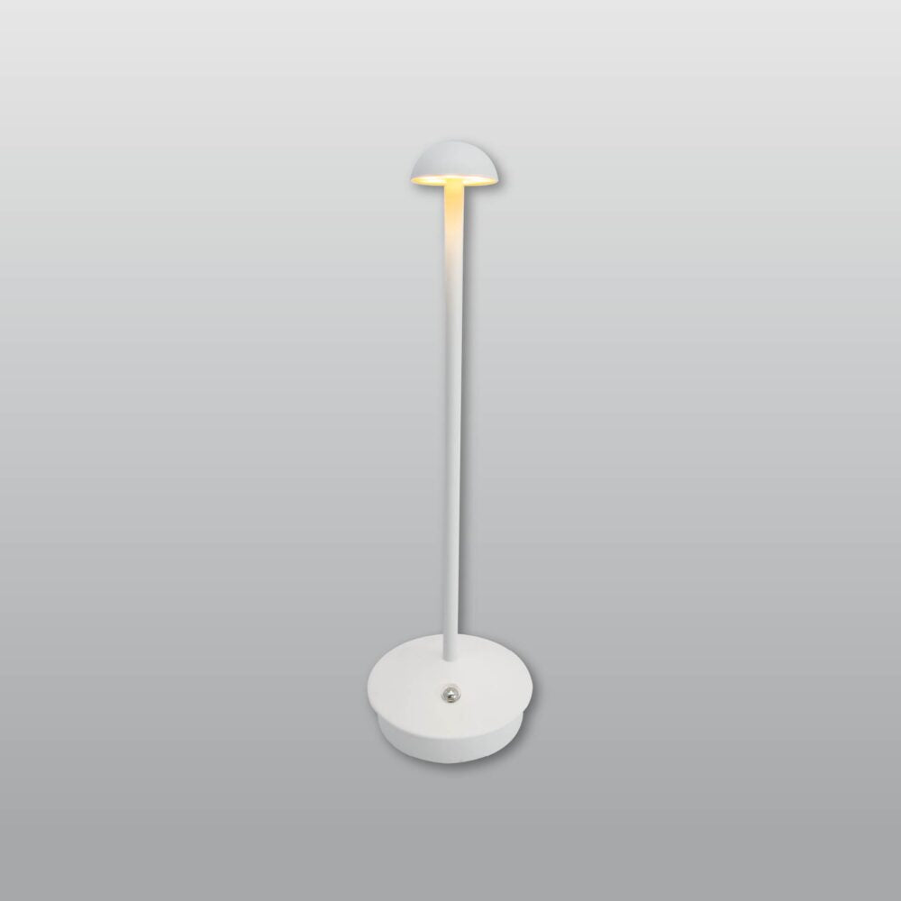 ACK LED Dekoratif Metal Masa Lambası Ø90