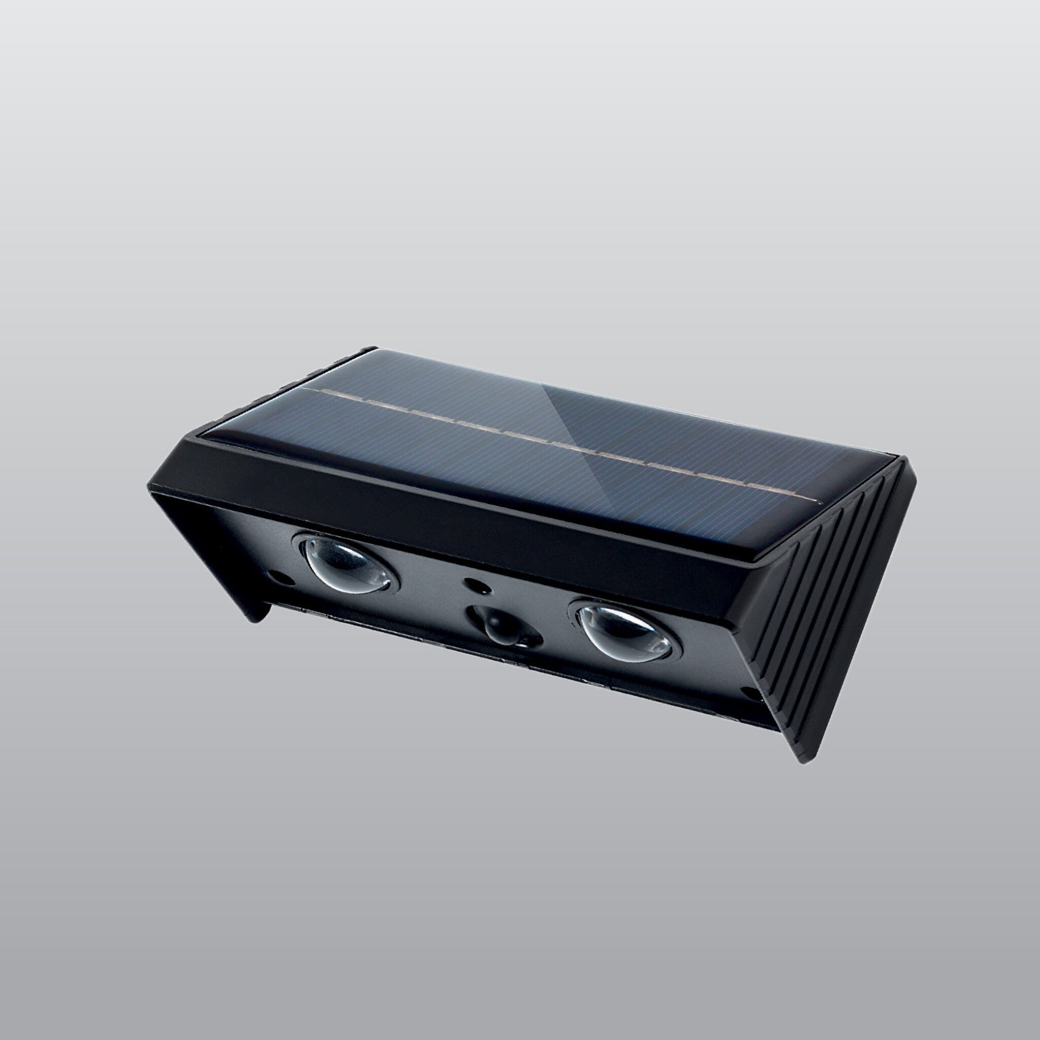 ACK Solar LED Bahçe Spotu 3000K 2 LED