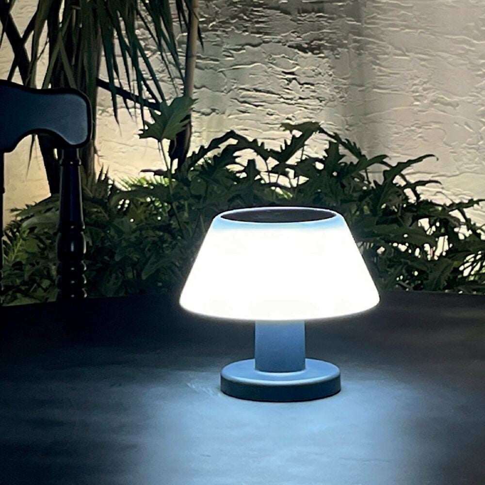 ACK Solar LED Bahçe Armatürü 4000K 20 LED
