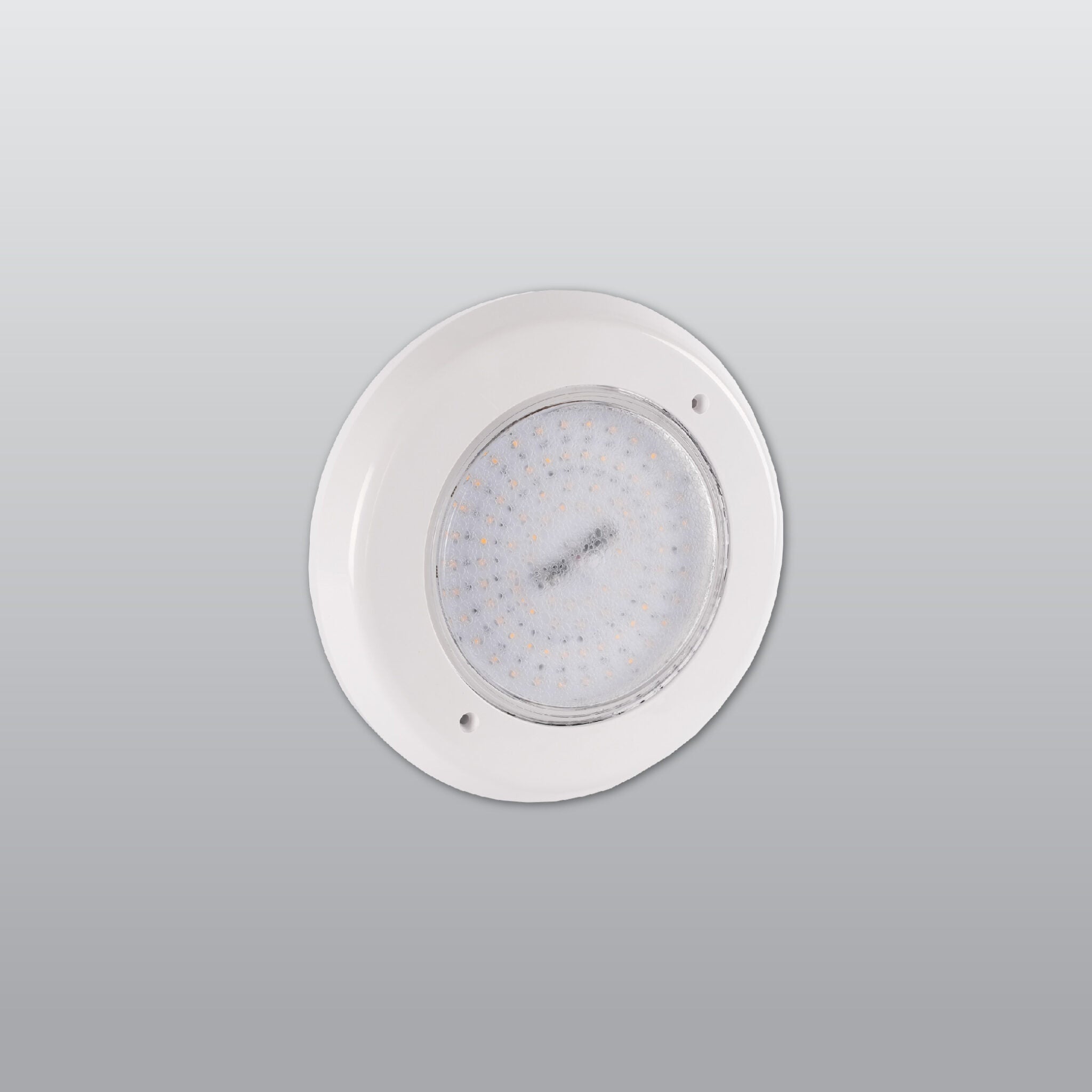 ACK LED Havuz Armatürü PAR56 - 30W