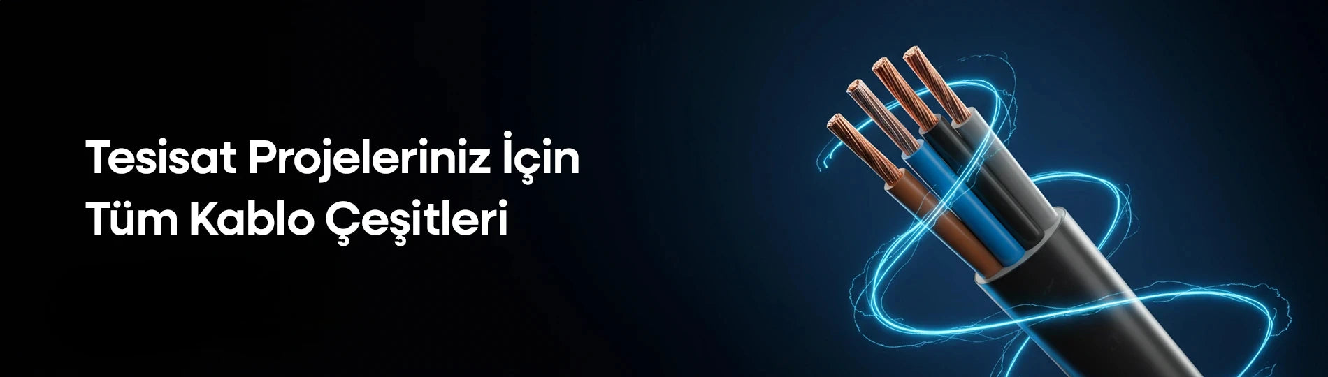 Görsel alt metni